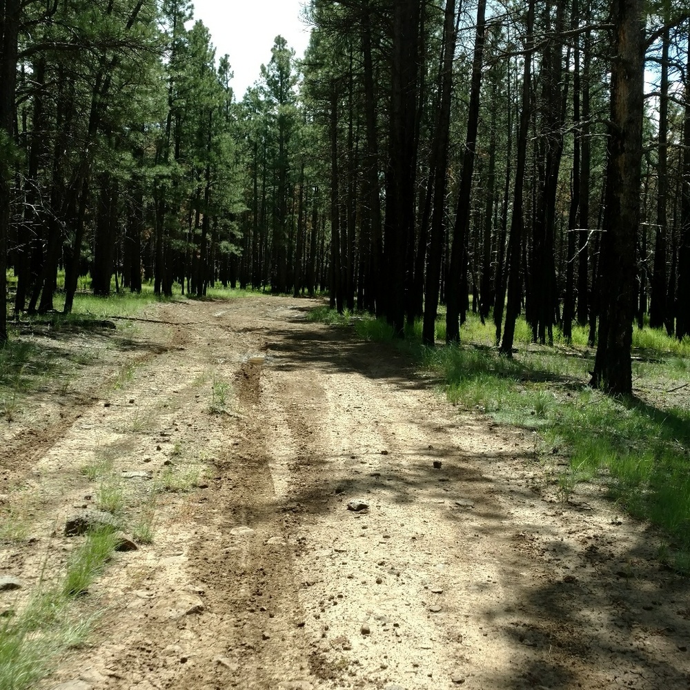 Meet your Posher, Ali